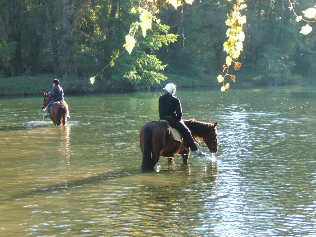 Camping La Digue Chauzon Eksteriør billede